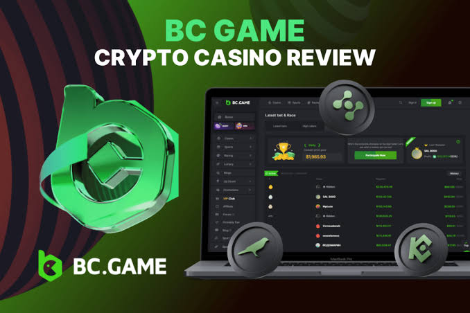 Comprehensive Guide to BC.Game Cashback Bonus Comprehensive Guide to BC.Game Cashback Bonus